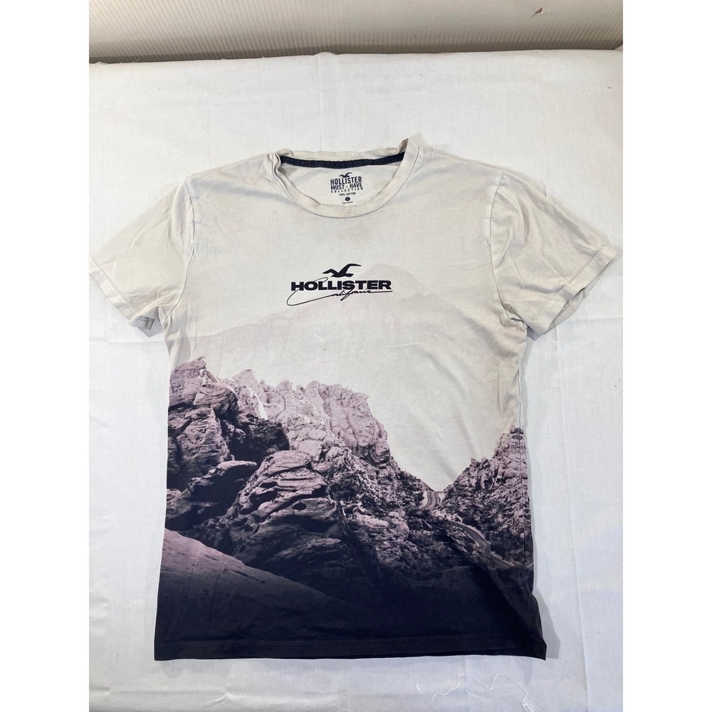 Hollister Mens Graphic T Shirt Size S Mountain Nature Print Short Sleeve